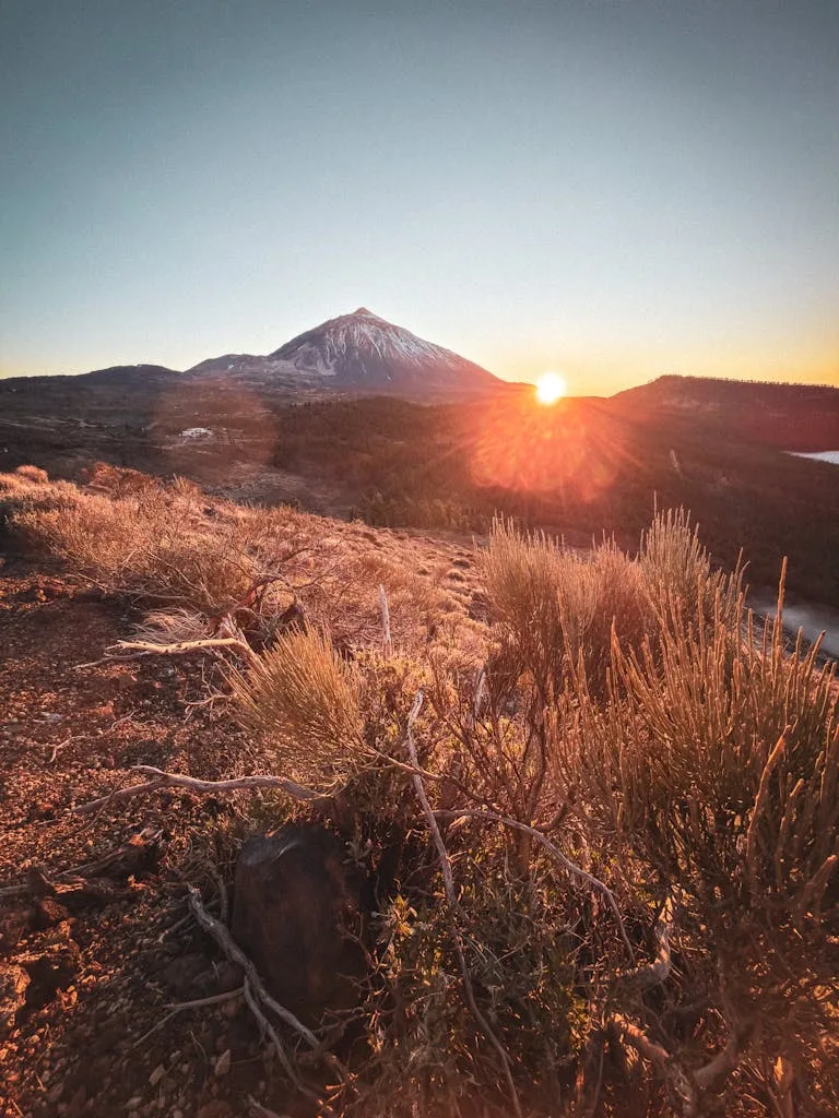 Breathtaking sunrise view over Mount Teide, Tenerife, showcasing vibrant landscapes.