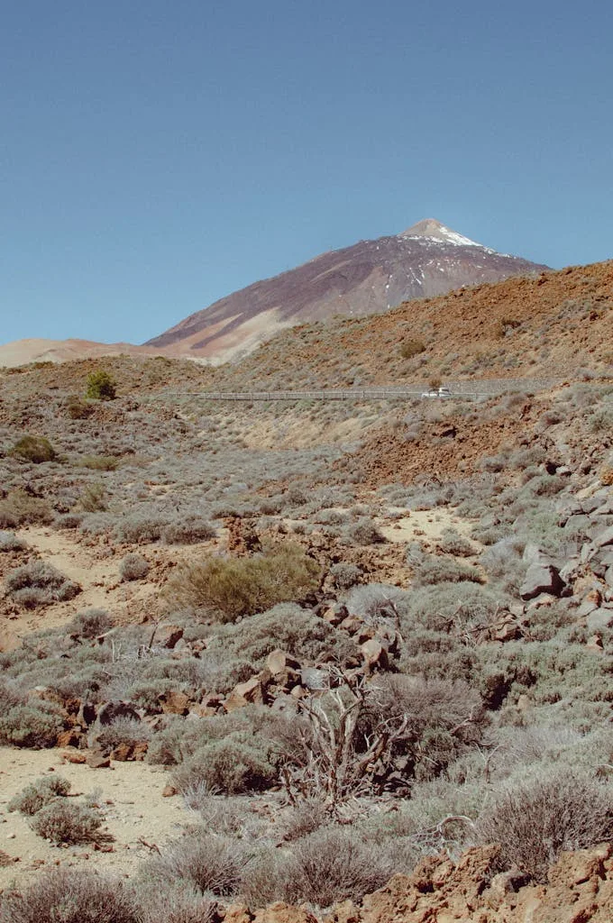 Scenic view of Mount Teide in Tenerife surrounded by arid landscape and sparse vegetation.