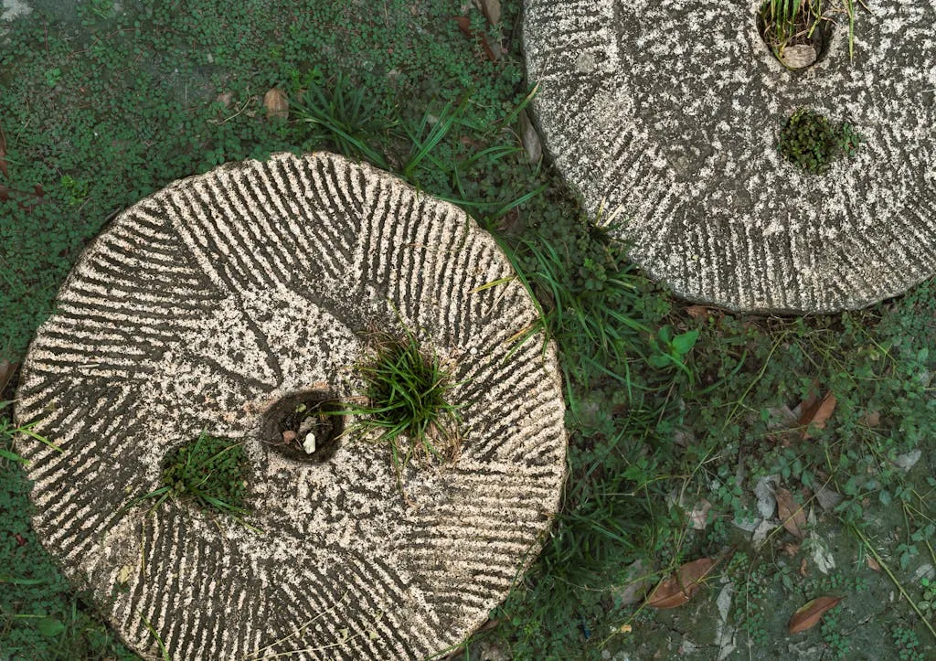 Top-down view of two old stone grinding wheels with grass growing on them in an outdoor setting.